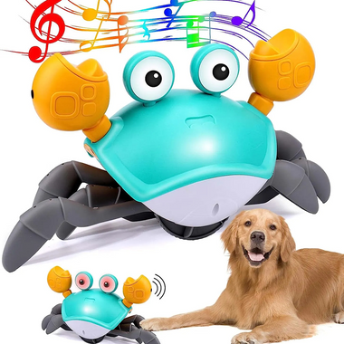 Interactive Dancing Crab Dog Toy