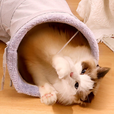 Collapsible Cat Tunnel Toys