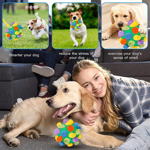 Interactive Pet Snuffle Ball Toy