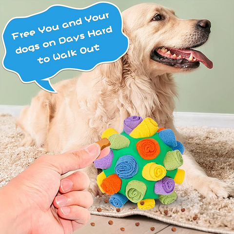 Interactive Pet Snuffle Ball Toy