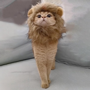 Lion Shaped cat hat