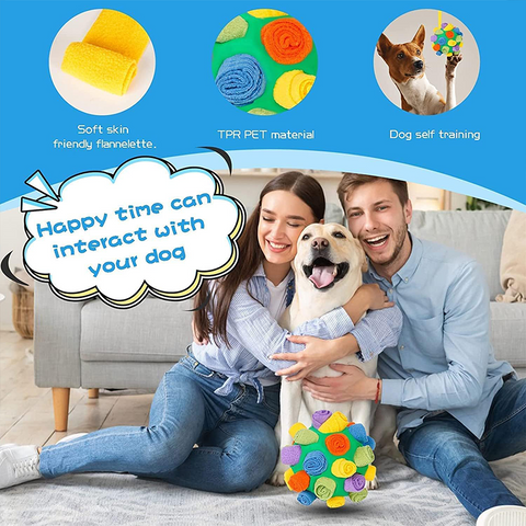 Interactive Pet Snuffle Ball Toy