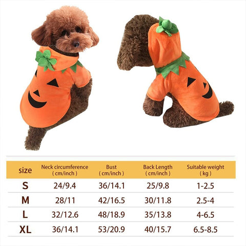 Halloween Pet Pumpkin Costume