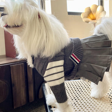 Dog Sweater Costumes