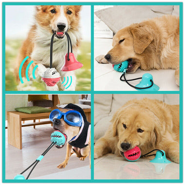 Floor Suction Cup Ball Teeth Cleaning Slow Food Dog Chew Toy