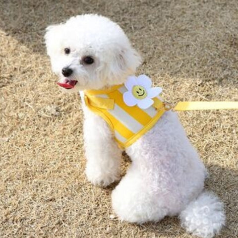 Vest Harness Rope Set