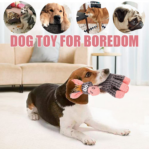 Squeaky Molar Plush Chewing Dog Toys