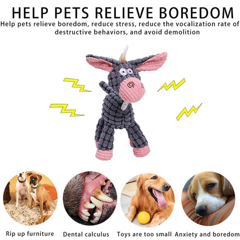 Squeaky Molar Plush Chewing Dog Toys