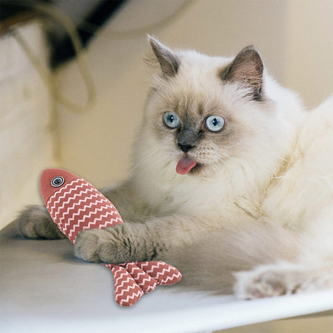 Fish Chew Cat Toy