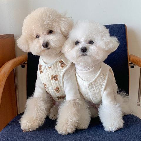 Bear Decor Cotton Dog Harness Vest