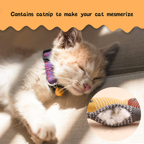 Fish Chew Cat Toy