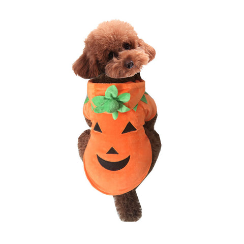 Halloween Pet Pumpkin Costume