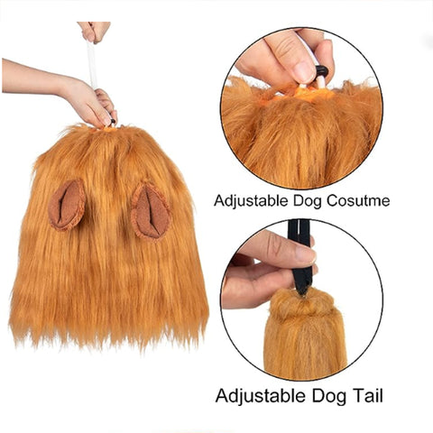 Lion Mane for Dogs