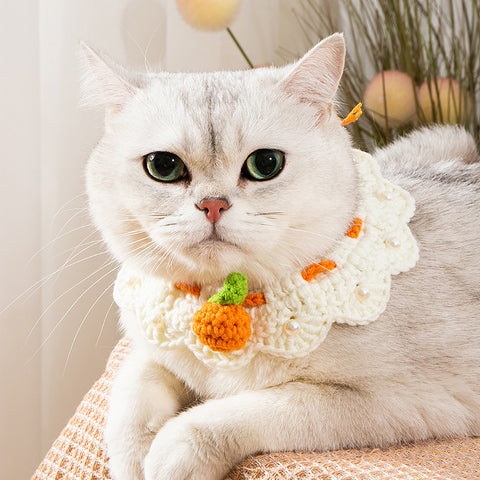 Knitted Cat Collar