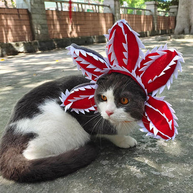 Pet Cat Dog Halloween Hat
