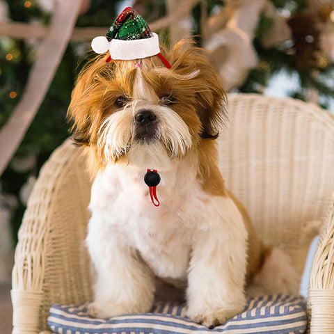 Christmas Adjustable Pet Hat Accessories