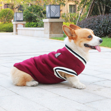 Pet Knitwear Pullover Clothes