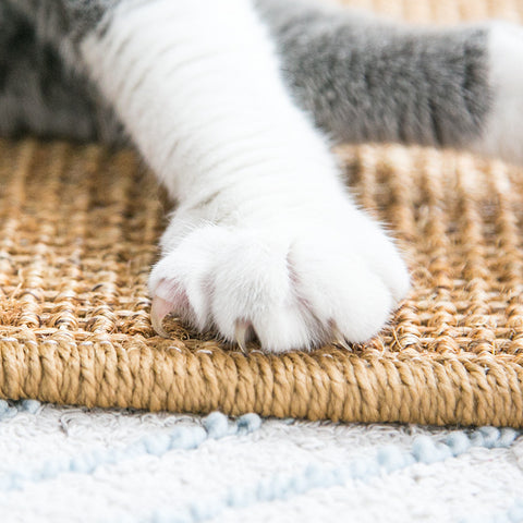 Sisal Cat Scratching Mat