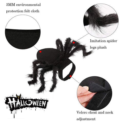 Dog Cat Spider Costume Halloween Decoration