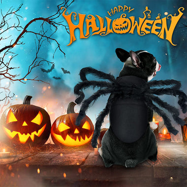 Dog Cat Spider Costume Halloween Decoration