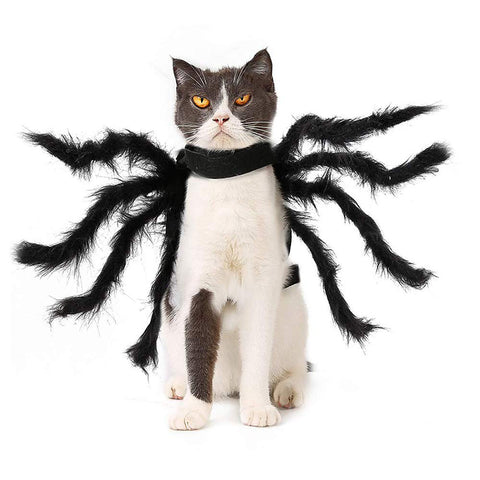 Dog Cat Spider Costume Halloween Decoration