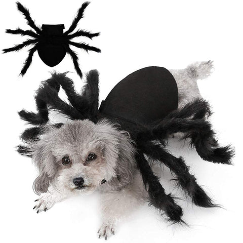 Dog Cat Spider Costume Halloween Decoration