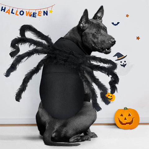 Dog Cat Spider Costume Halloween Decoration