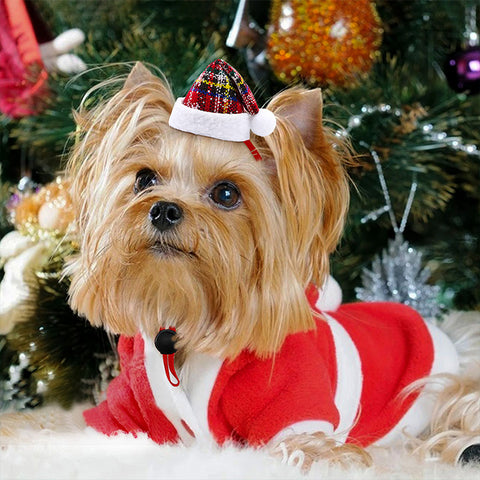 Christmas Adjustable Pet Hat Accessories