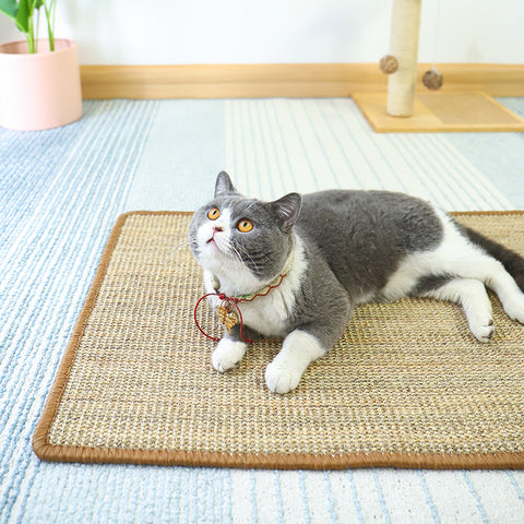 Sisal Cat Scratching Mat