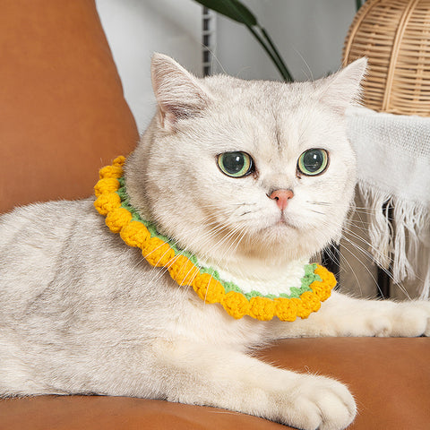 Knitted Cat Collar