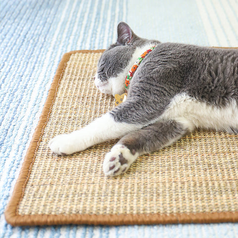 Sisal Cat Scratching Mat