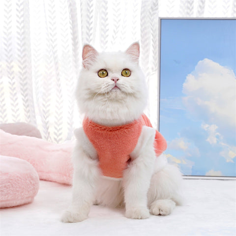 Winter Cat Clothing