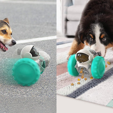Tumbler Balance Car Slow Feeder Pet Toy