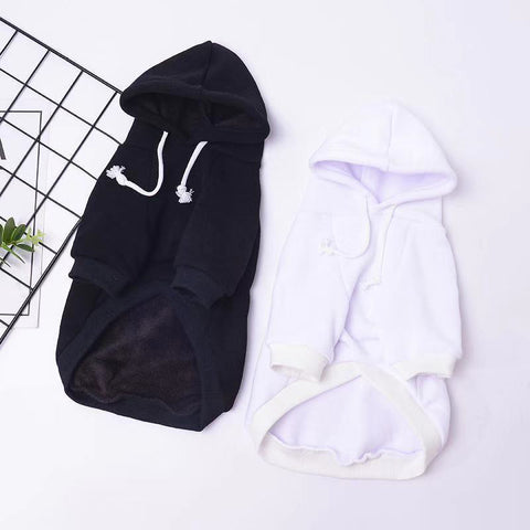 Letter Print Dog Hoodie