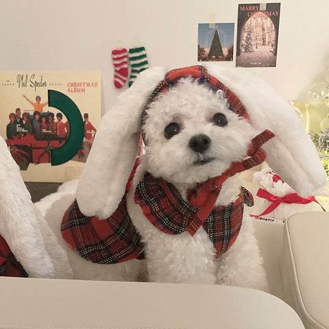 Christmas Bow Skirt + Rabbit Headgear Set Pet Clothes