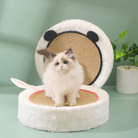 Cat Scratching Board