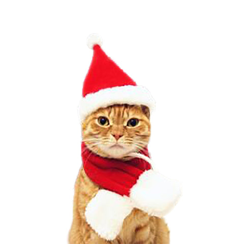 Christmas Pet Cosplay Costumes