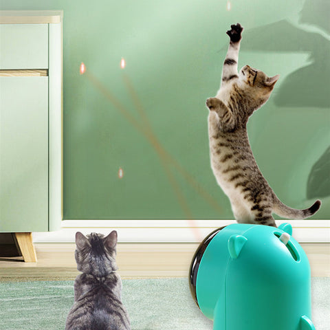 Interactive Laser Pointer Toy