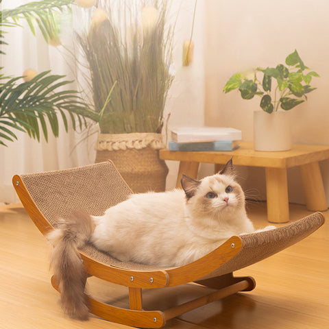 Cardboard Cat Scratching Bed