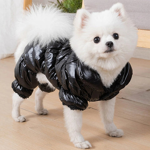 Dog Down Jacket