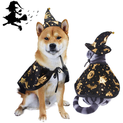 Dog Halloween Costume