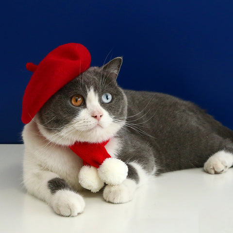 Beret Accessory Costume