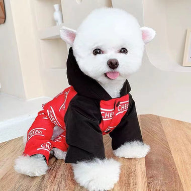 Cute Cartoon Bear Dog Sweaters