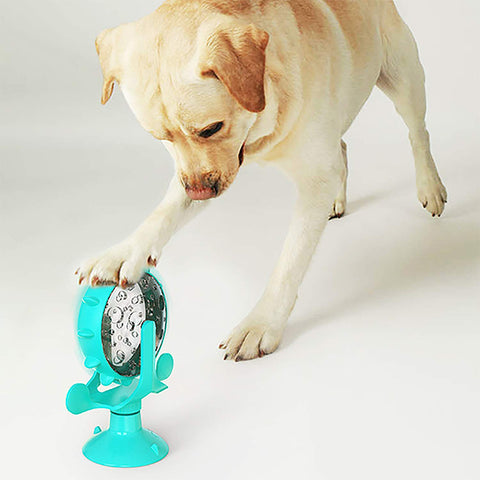 Pet Interactive Windmill Toy