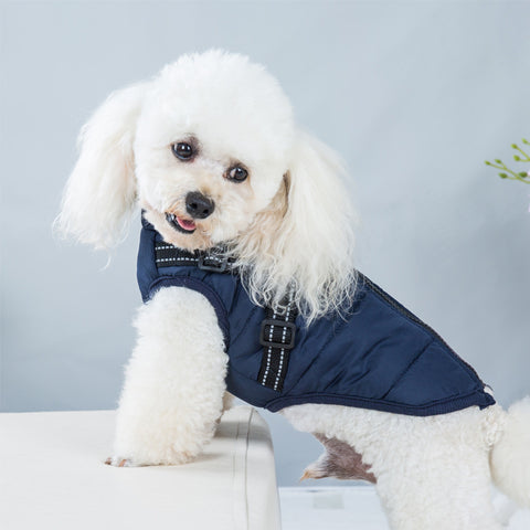 Waterproof Dog Coat With Harness