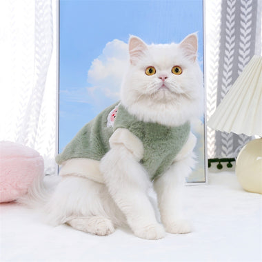 Winter Cat Clothing