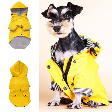 Dog Yellow Raincoat