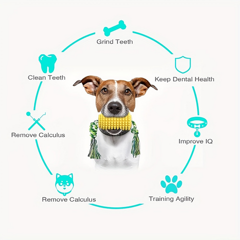 Durable Chew Teeth Dog Toys