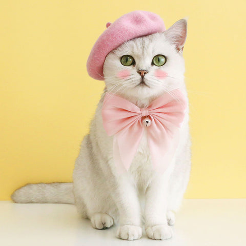 Beret Accessory Costume