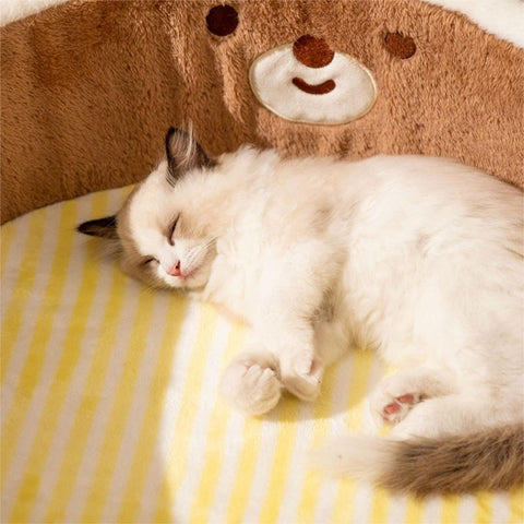 Bear & Cat Pet Bed